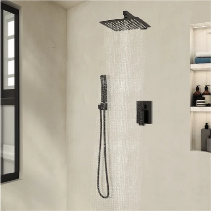 Dual Function Rain Shower System